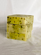 FOREST TONIC | Soap Bar